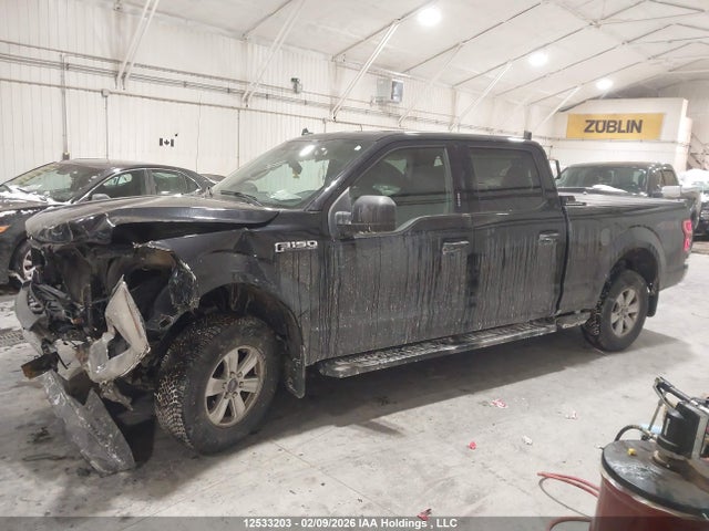 Продаж на аукціоні авто 2019 Ford F150 Supercrew, vin: 1FTFW1E55KFD03102, номер лоту: 12533203
