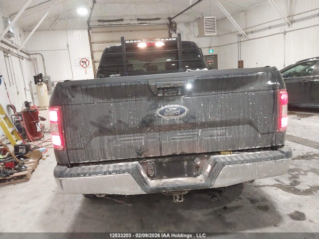 Продаж на аукціоні авто 2019 Ford F150 Supercrew, vin: 1FTFW1E55KFD03102, номер лоту: 12533203