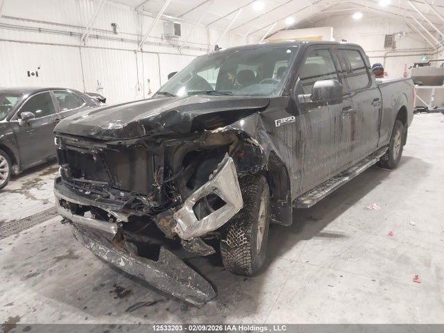 Продаж на аукціоні авто 2019 Ford F150 Supercrew, vin: 1FTFW1E55KFD03102, номер лоту: 12533203