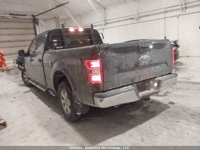 Продаж на аукціоні авто 2019 Ford F150 Supercrew, vin: 1FTFW1E55KFD03102, номер лоту: 12533203
