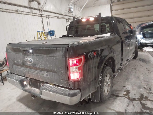 Продаж на аукціоні авто 2019 Ford F150 Supercrew, vin: 1FTFW1E55KFD03102, номер лоту: 12533203