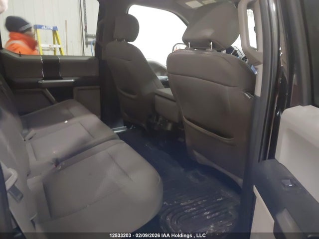Продаж на аукціоні авто 2019 Ford F150 Supercrew, vin: 1FTFW1E55KFD03102, номер лоту: 12533203