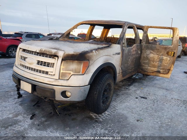 Aukcja sprzedaży 2014 Ford F150 Supercrew, vin: 1FTFW1EFXEFC53648, numer aukcji: 12533277
