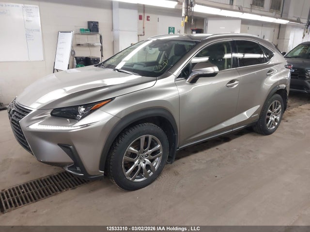 JTJGJRDZ1L5004636 Lexus NX 300H