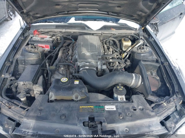 Продажа на аукционе авто 2007 Ford Mustang Gt, vin: 1ZVFT85H775352601, номер лота: 12533374