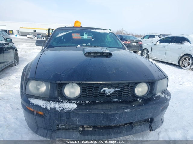 Продажа на аукционе авто 2007 Ford Mustang Gt, vin: 1ZVFT85H775352601, номер лота: 12533374