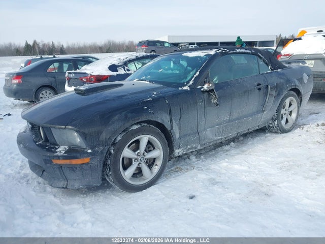 Продажа на аукционе авто 2007 Ford Mustang Gt, vin: 1ZVFT85H775352601, номер лота: 12533374