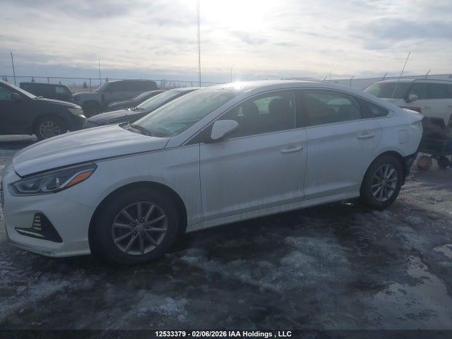 5NPE24AF1JH690565 Hyundai SONATA SE