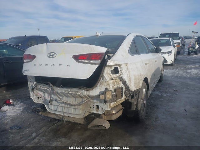 5NPE24AF1JH690565 Hyundai SONATA SE