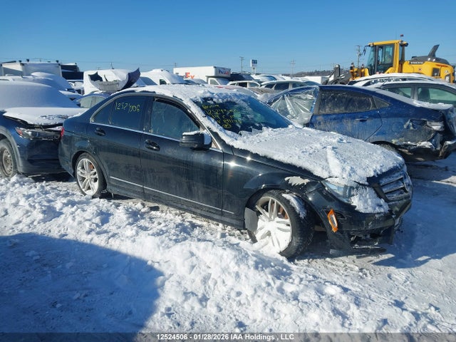WDDGF8AB3EA891243 Mercedes-Benz C 300 4matic