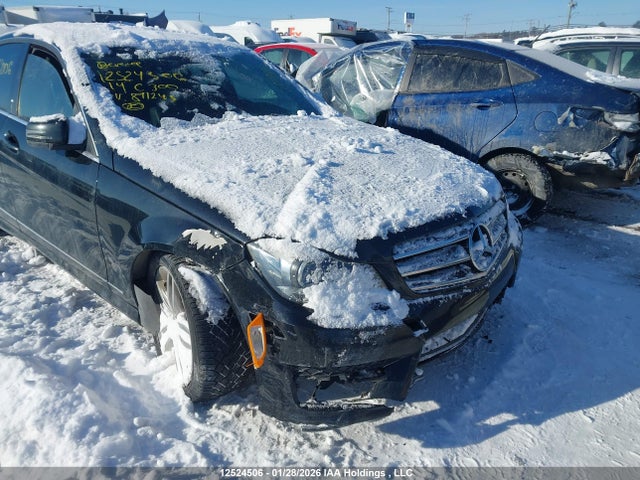 WDDGF8AB3EA891243 Mercedes-Benz C 300 4matic