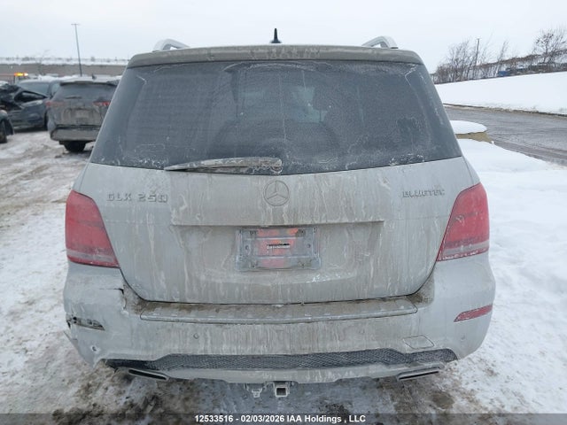 WDCGG0EB1FG386409 Mercedes-Benz Glk 250 Bluetec