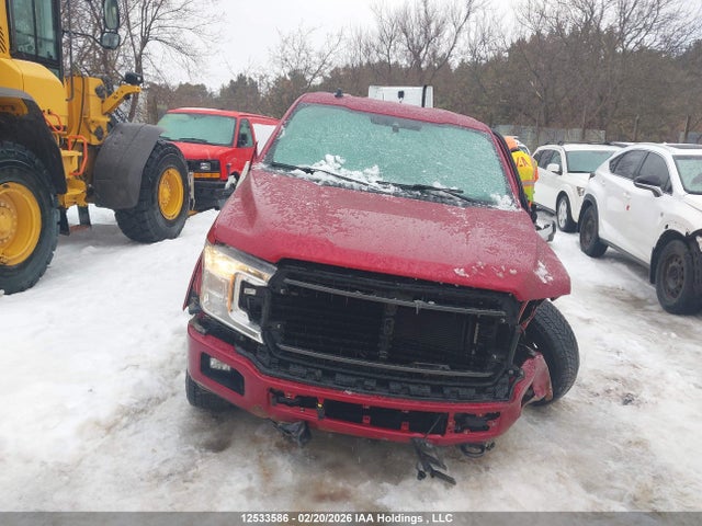 Продаж на аукціоні авто 2019 Ford F150 Supercrew, vin: 1FTEW1EPXKFB86873, номер лоту: 12533586