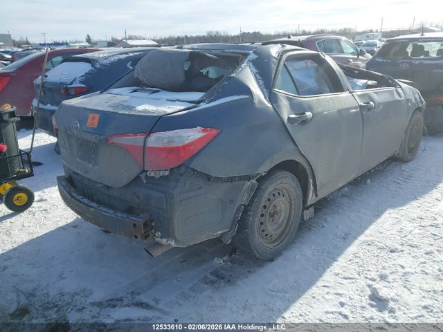 2T1BURHE2GC531766 Toyota Corolla L/le/le Pls/prm/s/s Pls