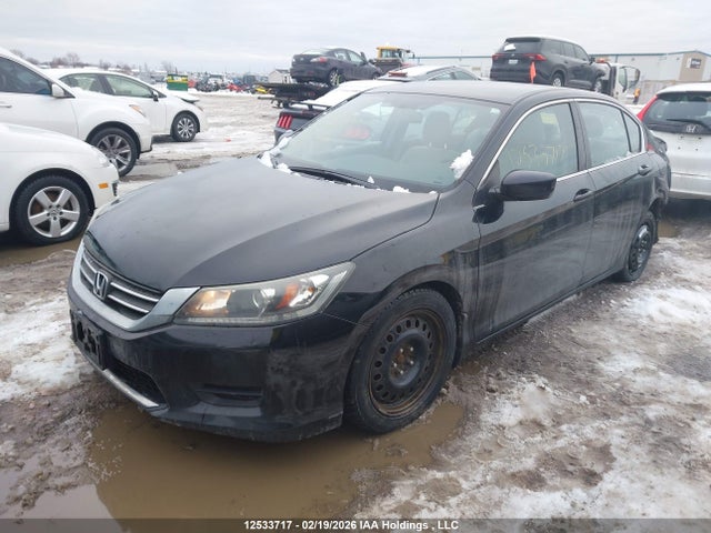 1HGCR2F37FA806177 Honda ACCORD LX