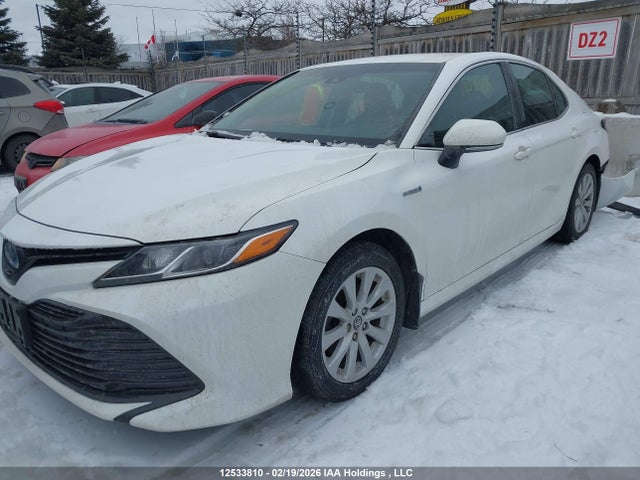 4T1B31HK2JU505023 Toyota Camry