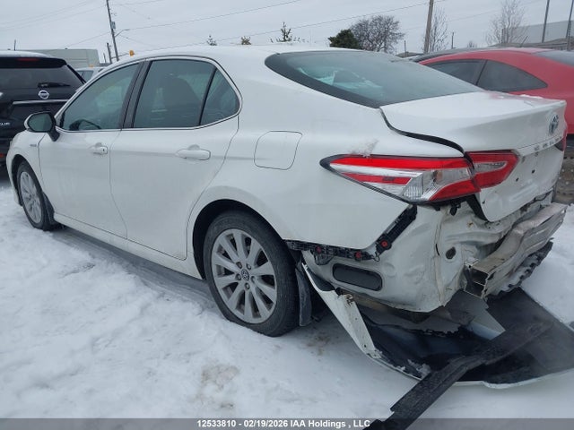 4T1B31HK2JU505023 Toyota Camry