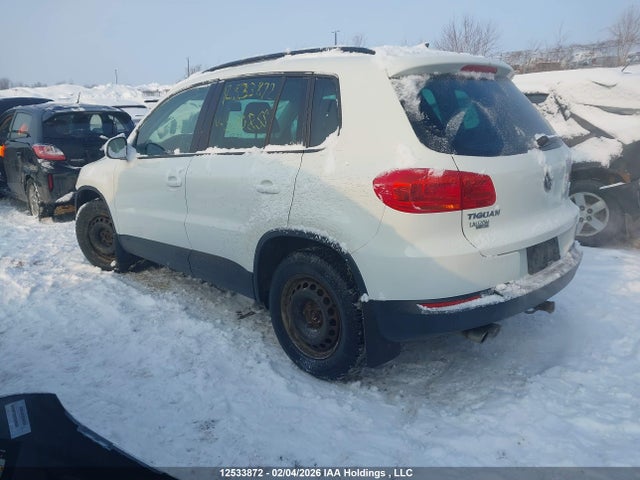 WVGJV7AX8FW500855 Volkswagen Tiguan Comfortline/highline/special Edition/trendline