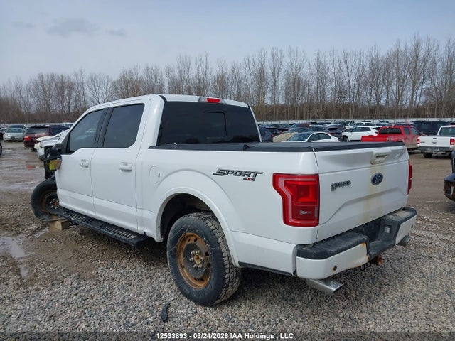 2017 Ford F150 Supercrew მანქანა იყიდება აუქციონზე, vin: 1FTEW1EF7HKD14140, აუქციონის ნომერი: 12533893