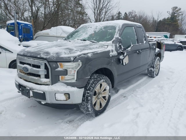 1FTEX1E89FFB02120 Ford F-150 Xlt