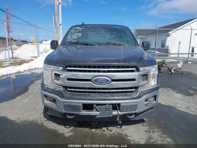 Продаж на аукціоні авто 2020 Ford F150 Supercrew, vin: 1FTEW1E52LFA00274, номер лоту: 12534064