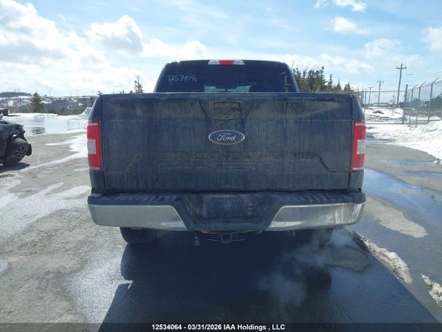 Продаж на аукціоні авто 2020 Ford F150 Supercrew, vin: 1FTEW1E52LFA00274, номер лоту: 12534064