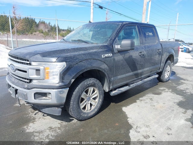 Продаж на аукціоні авто 2020 Ford F150 Supercrew, vin: 1FTEW1E52LFA00274, номер лоту: 12534064