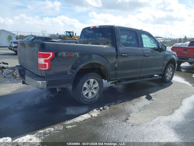 Продаж на аукціоні авто 2020 Ford F150 Supercrew, vin: 1FTEW1E52LFA00274, номер лоту: 12534064