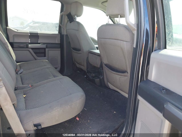 Продаж на аукціоні авто 2020 Ford F150 Supercrew, vin: 1FTEW1E52LFA00274, номер лоту: 12534064