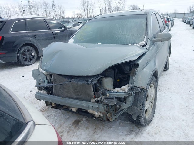 Продаж на аукціоні авто 2011 Honda Cr-v Ex, vin: 5J6RE3H55BL801044, номер лоту: 12534119