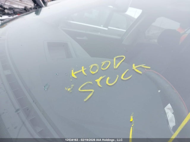 3VV0B7AX6KM156074 Volkswagen Tiguan Trendline