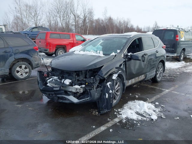 2HKRW2H42LH208462 Honda CR-V