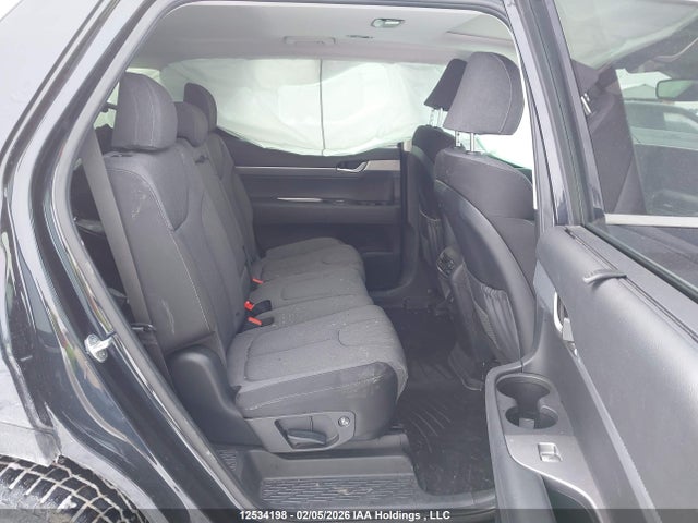 KM8R3DHE0MU317230 Hyundai Palisade Sel