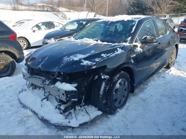 4T1C31AK9MU555209 Toyota Camry Hybrid Le
