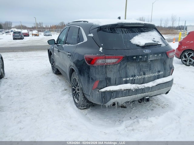 12534264 :رقم المزاد ، 1FMCU0E18SUA63258 vin ، 2025 Ford Escape Phev مزاد بيع