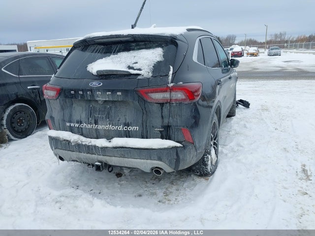 12534264 :رقم المزاد ، 1FMCU0E18SUA63258 vin ، 2025 Ford Escape Phev مزاد بيع