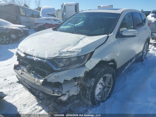 2HKRW2H82HH101647 Honda Cr-v Ex-l