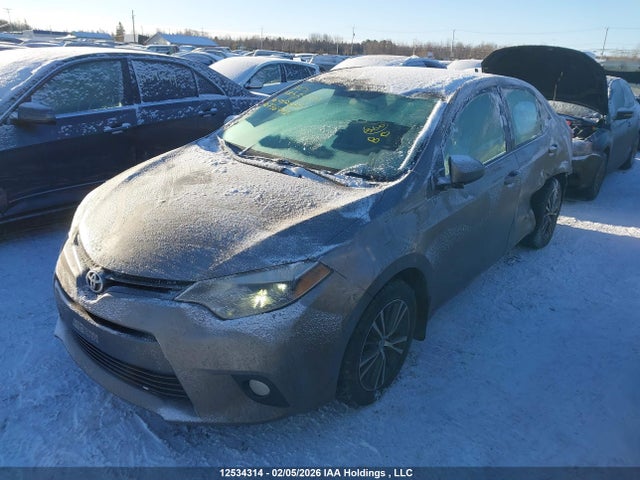 2T1BURHE4GC736442 Toyota Corolla L/le/le Pls/prm/s/s Pls
