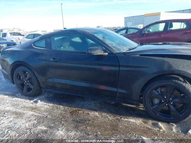 Ford MUSTANG GT 2021 1FA6P8CF5M5112389 Image 13