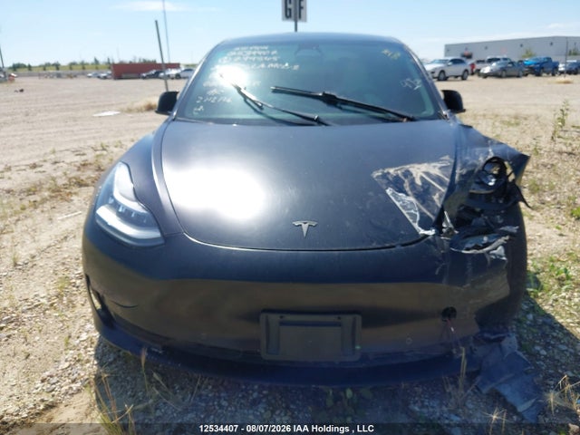Auction sale of the 2020 Tesla Model 3 Standard Range Plus, vin: 5YJ3E1EA4LF794545, lot number: 12534407