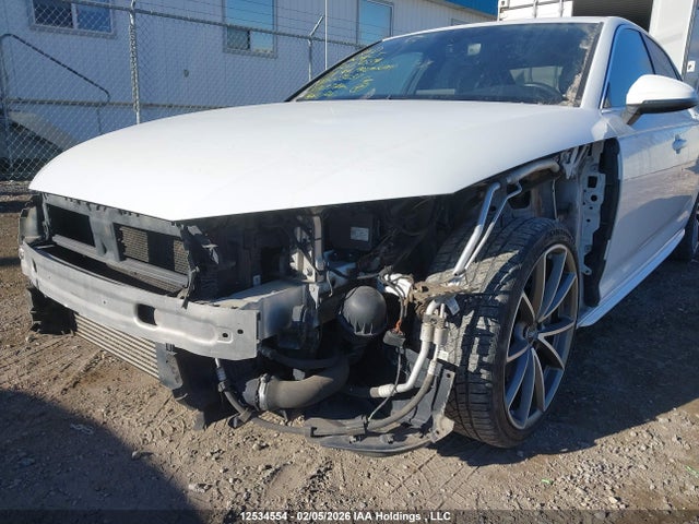 WAUENAF40HN005637 Audi A4 Premium Plus