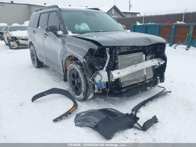 2025 Hyundai Santa Fe მანქანა იყიდება აუქციონზე, vin: 5NMP3DGL6SH118232, აუქციონის ნომერი: 12534636