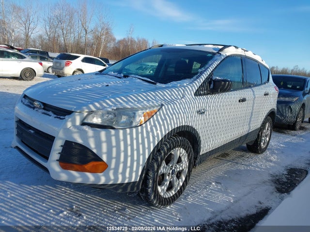 12534725 :رقم المزاد ، 1FMCU0F78EUD96261 vin ، 2014 Ford Escape S مزاد بيع