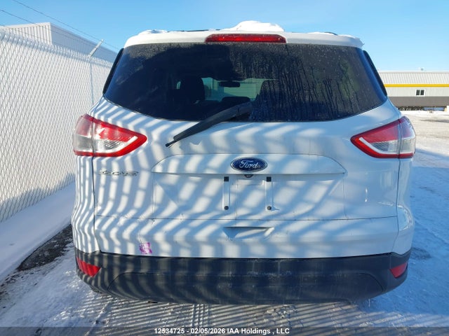 12534725 :رقم المزاد ، 1FMCU0F78EUD96261 vin ، 2014 Ford Escape S مزاد بيع