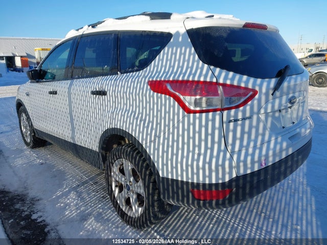 12534725 :رقم المزاد ، 1FMCU0F78EUD96261 vin ، 2014 Ford Escape S مزاد بيع