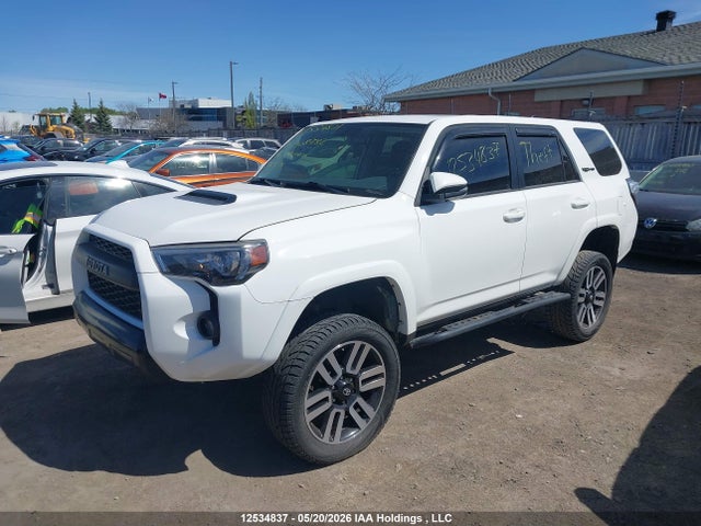 JTEBU5JRXH5408782 Toyota 4runner Sr5 Prem/ltdl/trail/trd