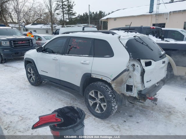1C4PJMBS9GW276167 Jeep Cherokee Trailhawk