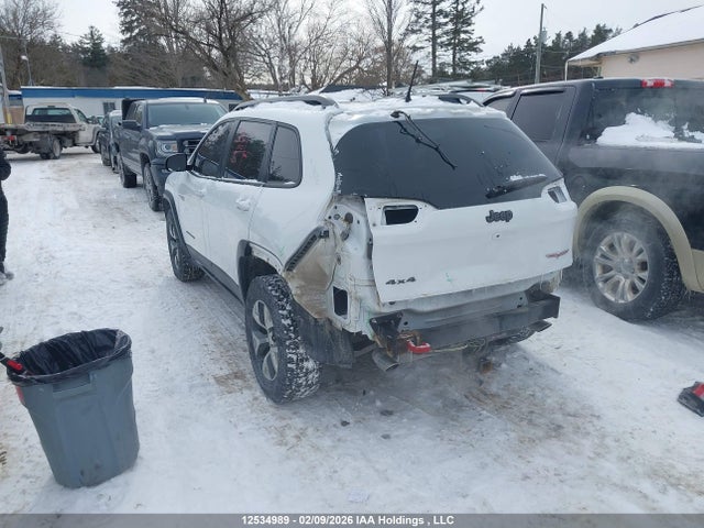 1C4PJMBS9GW276167 Jeep Cherokee Trailhawk