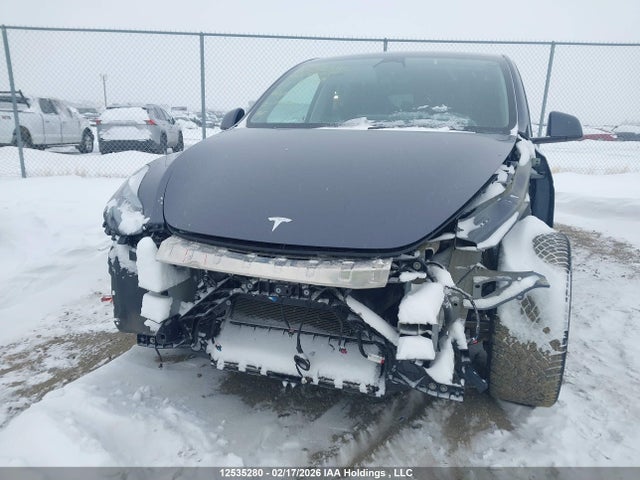 Tesla Model Y 2023 7SAYGDEF8PF695071 Image 6
