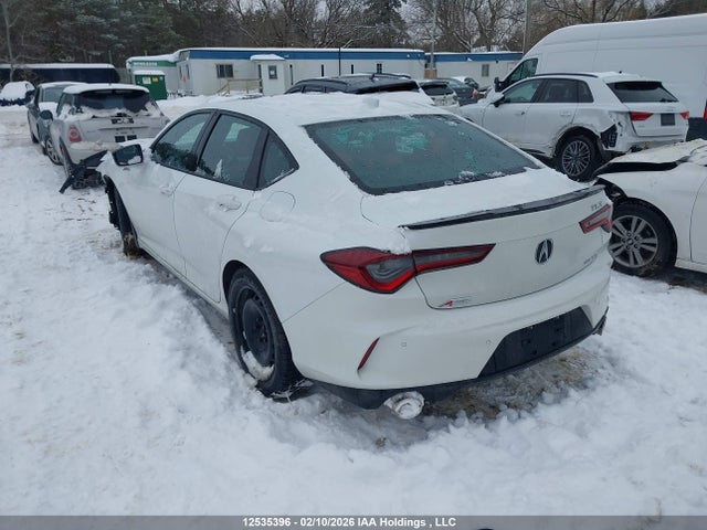 19UUB6F51RA800347 Acura Tlx A-spec